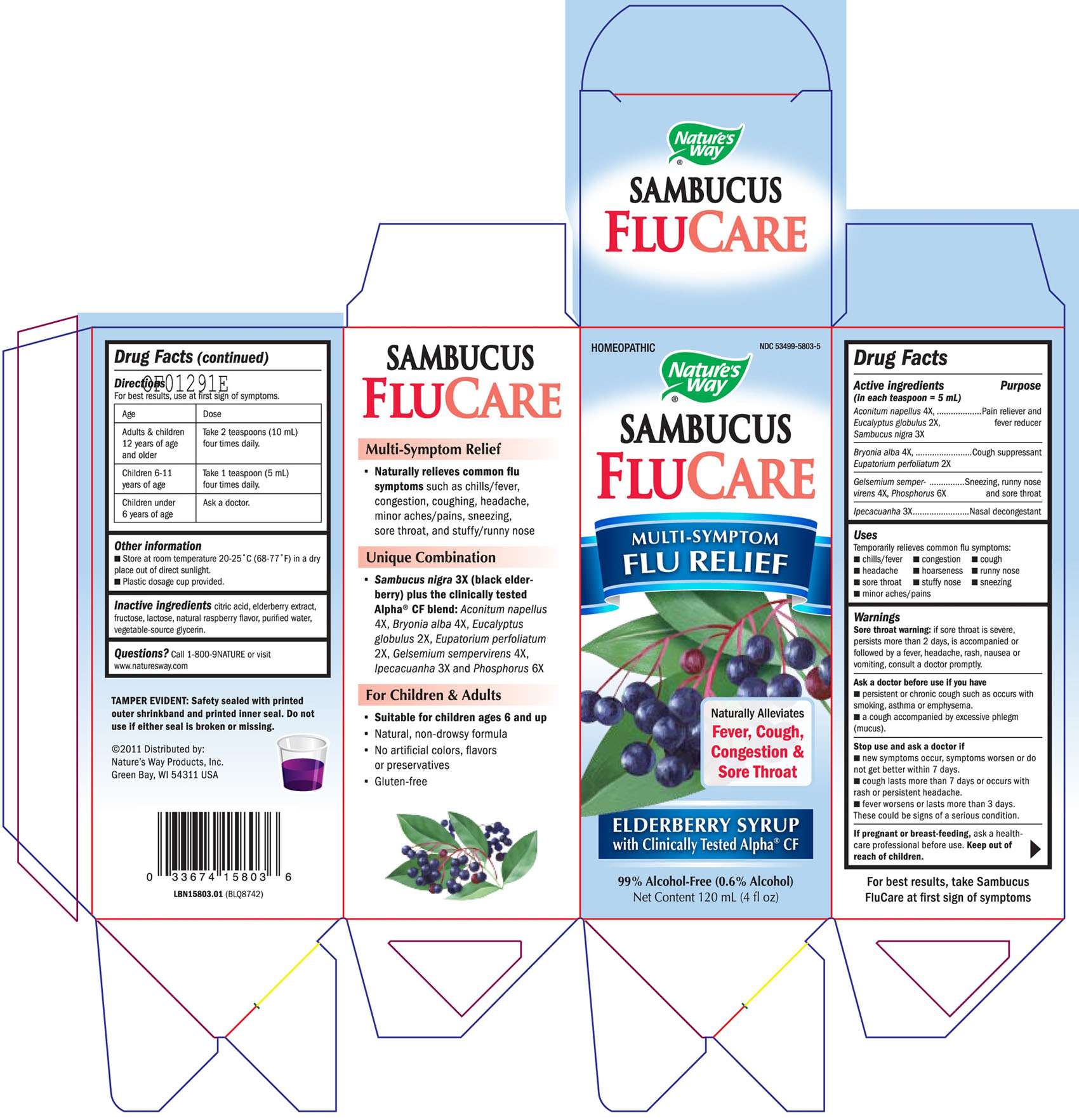 SAMBUCUS FLUCARE